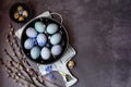 Painted Easter eggs in a plate and willow branches. Happy Easter concept Royalty Free Stock Photo
