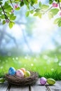 Painted Easter eggs in spring greeting card portrait format with copyspace copy space Royalty Free Stock Photo