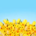 Painted Easter Eggs Springtime Flower Background Decoration Royalty Free Stock Photo