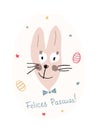 Cute funny Easter Bunny with writing in Spanish Felices Pascuas which means Happy Easter. Royalty Free Stock Photo