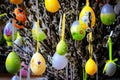 Painted easter eggs Royalty Free Stock Photo