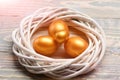 Painted easter golden eggs in bird nest on colorful background Royalty Free Stock Photo