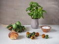 Painted eggs of chicken and quail green and dark orange on a white table. Fresh basil in a clay gray pot. Royalty Free Stock Photo