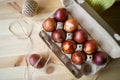 Painted eggs cooked for Easter are in an eco-friendly tray Royalty Free Stock Photo