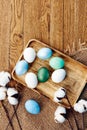 painted eggs easter tradition decoration wooden background