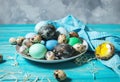 Painted eggs on plate, quail and chicken eggs, paint and brush on blue background, Easter decorations.