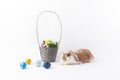 Painted eggs and rabbit near easter basket Royalty Free Stock Photo