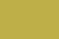 Painted empty sheet of plywood mustard, yellow-brown color. Royalty Free Stock Photo