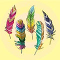 Painted Feathers Royalty Free Stock Photo