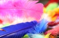 Painted Feathers