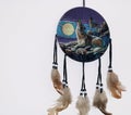 Painted felt howling wolves at sunset dream catcher Royalty Free Stock Photo