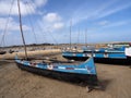 Painted fishermen`s boats on the banks of the Manambolo River in Bekopaka. Madagascar Royalty Free Stock Photo