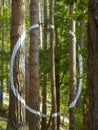 Painted forest in Oma, Basque Country, white circle Royalty Free Stock Photo