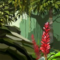 Painted ginger flowers among tropical plants in the jungle