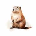 Charming Ground Squirrel Illustration With Minimalist Aesthetic