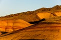 Painted Hills Royalty Free Stock Photo