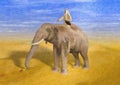 Painted Illustration of Desert Adventurer Riding Elephant