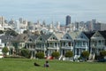 Painted ladies Royalty Free Stock Photo