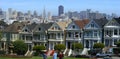 Painted Ladies