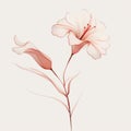 Elegant Minimalist Flower Sketch In Pink And White