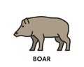Painted line figure of boar. Vector outline symbol