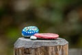 Painted little stones lying on a tree trunk