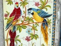 Painted macaws on ceramic wall tiles