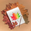Painted maple leaf on a white sheet Royalty Free Stock Photo