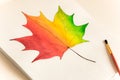 Painted maple leaf on a white sheet Royalty Free Stock Photo