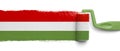Painted Mexican Flag Royalty Free Stock Photo