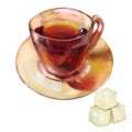 Hand-drawn illustration. Fragrant black tea in a transparent cup