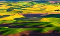 Sunrise at Palouse hills Royalty Free Stock Photo