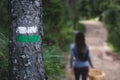 Painted path mark on a tree with blurred woman hiker on background mushroom hunter Royalty Free Stock Photo