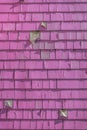 Painted peeling magenta wood shingles- San Francisco, California Royalty Free Stock Photo