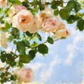 Painted picture with rose-tree and blue sky. Royalty Free Stock Photo