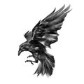 Painted raven on a white background Royalty Free Stock Photo