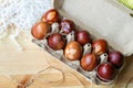 Painted eggs prepared for Easter in a tray Royalty Free Stock Photo
