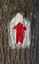 Painted red tourist sign, hiking arrow, for navigation in the forest, on the surface of tree bark Royalty Free Stock Photo