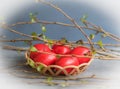 Painted red yaica symbol of faith and God`s will, red Easter yaica, easter, faith, tree twigs and easter Royalty Free Stock Photo