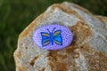 Painted rock with cute butterfly