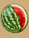 Painted round green striped watermelon with an unevenly bitten off part