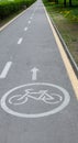 Painted signs on asphalt for bicycle dedicated lanes. A separate bike path in the city Royalty Free Stock Photo