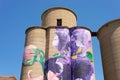 Painted silo