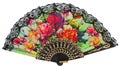 Painted spanish hand fan Royalty Free Stock Photo