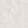 Painted spotted white aged seamless metal texture