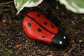 Painted stone ladybug Royalty Free Stock Photo