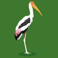 Painted stork cartoon bird