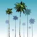 Painted tall coconut palm trees on blue sky background Royalty Free Stock Photo