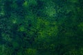 Painted texture surface of concrete wall, background. Abstract copyspace. Green