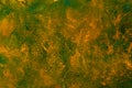 Painted texture surface of concrete wall, background. Abstract copyspace. Mustard Royalty Free Stock Photo